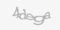 Защитный код